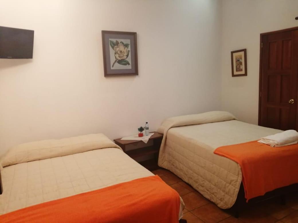 Hotel Y Jardines Casa Buho Antigua Ngoại thất bức ảnh