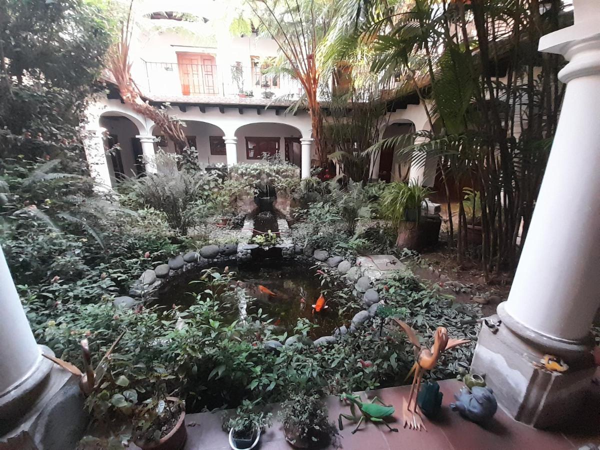 Hotel Y Jardines Casa Buho Antigua Ngoại thất bức ảnh