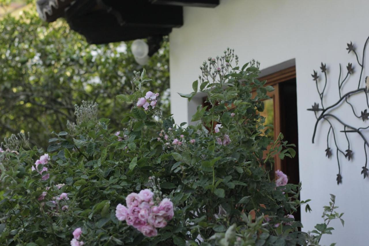 Hotel Y Jardines Casa Buho Antigua Ngoại thất bức ảnh