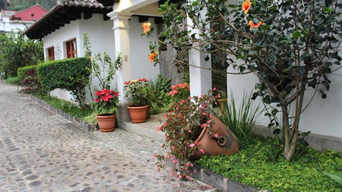 Hotel Y Jardines Casa Buho Antigua Ngoại thất bức ảnh